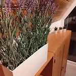 Eulenburg Am Reuthsee Nurdachhaus Mit Garten *
