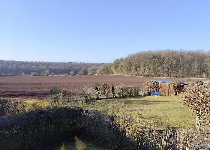 Eulenburg Am Reuthsee Nurdachhaus Mit Garten Sulzdorf an der Lederhecke